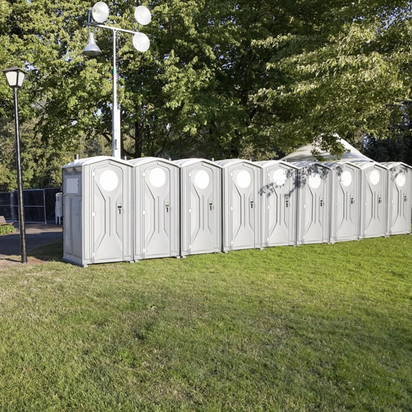 how accessible are the portable sanitation services for people with disabilities